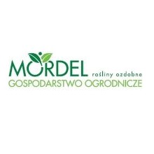 logo_mordel